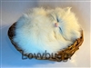 Sleeping White Cat in Basket