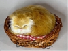 Syn Orange Tabby Cat in Basket