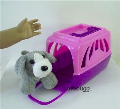 Dog in Purple Carrier