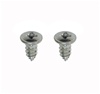 1970 - 1981 Camaro Door Jamb Air Vent Louver Screws, Pair