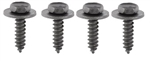 1970 - 1981 Glove Box Door Hinge Screw Set