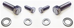 Fuel Pump Mounting Bolts Set for Small Block Engines, Stainless Steel