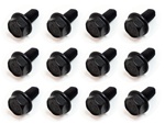 1967 - 1968 Camaro Rally Sport Small Parts Bolt Set, 12 Pieces