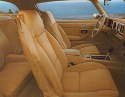image of 1979 Camaro or Berlinetta Seat Covers Set, Front and Rear with Deluxe Interior, Vinyl with Vinyl Inserts