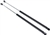 Picture of a 1998 - 2002 Camaro Hood Lift Support Shock Absorber, Pair