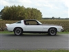 1976 - 1977 Camaro Rally Sport Fenders and Rear Spoiler Decals Set, 3 Pieces WHITE