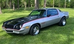 1978 - 1979 Camaro Rally Sport Complete Decal Stripe Set, Choose Your Color