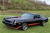 1979 Camaro Z28 Decal Stripe Set, Complete, Choose Color