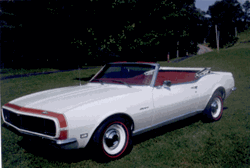 Mr. Flips 68 Convertible