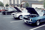 The Line Up