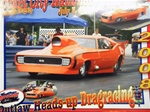 Roy and Patrick Hunley's 69 Pro