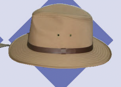 Capas - Safari