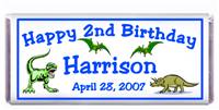 Childrens Birthday Dinosaurs Candy Bar