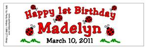 Childrens Birthday Lady Bug Water Bottle Labels