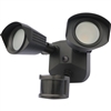 Bronze Security Light with motion sensor