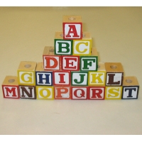 25ct Assorted Alphabet Blocks