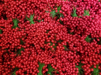 Double Ended Red Holly Berry Stamen Peps (72 pcs)