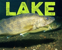 Lure Kit - Largemouth Bass