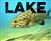 Smallmouth Bass -Gapen Lure Kit Lake Fishing