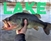 Largemouth Bass Fishing Lure Kit - Bass Jigs, Lures