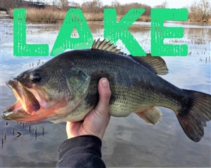 Gapen Largemouth Bass Lure Kit