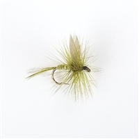 Dark Olive Dry Fly