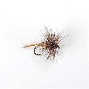 March Brown Dry Fly