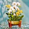 FreshCut Paper Pop Up Serenity Orchid