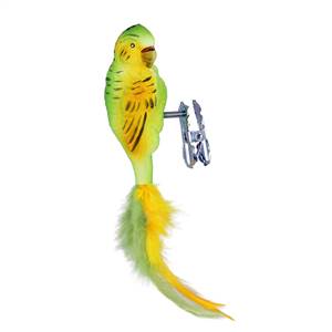 Parrot Yellow Green