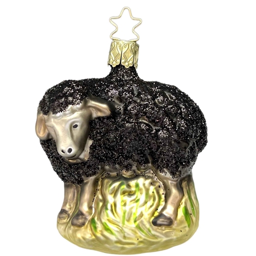 Inge Glas Black Sheep Ornament
