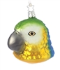 Blue And Yellow Mackaw Parrot
