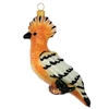 Orange Hoopoe BIrd