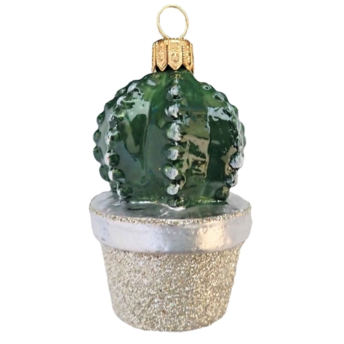 Small Cactus In Pot