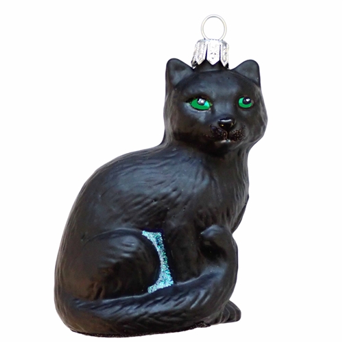 Sitting Black Cat With Green Eyes