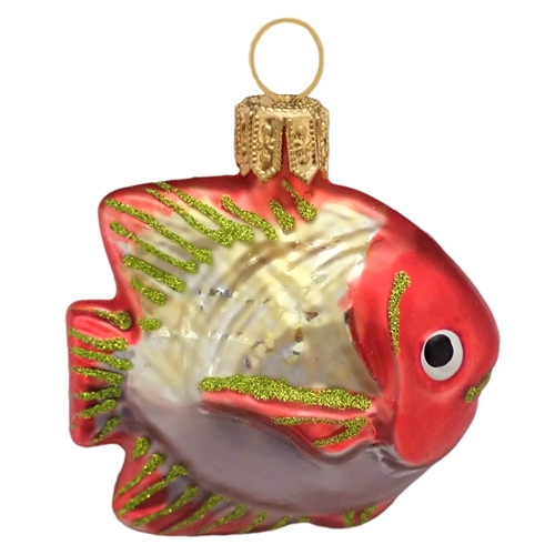 Small Orange Purple Coral Fish