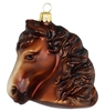 Horse Head