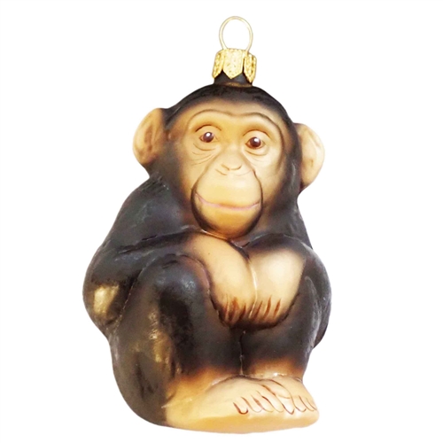 Chimpanzee Monkey