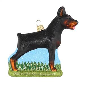 Doberman Pinscher