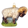 Ram Sheep
