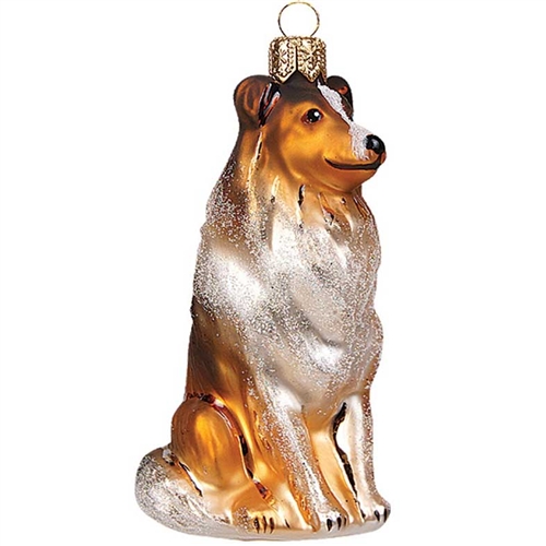 Collie Dog