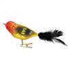 Western Tanager Bird