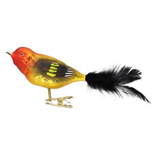 Western Tanager Bird