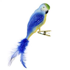 Blue Parrot