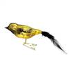 Gold & Black Siskin Bird