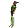 Large Green Woodpecker