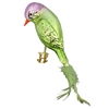 Lilac Green Titmouse Bird
