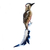 Red Head Woodpecker