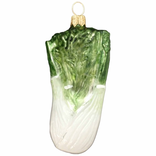Fennel Bulb