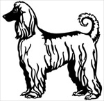 Afghan Hound memorial graphic