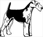 Airedale Terrier memorial graphic